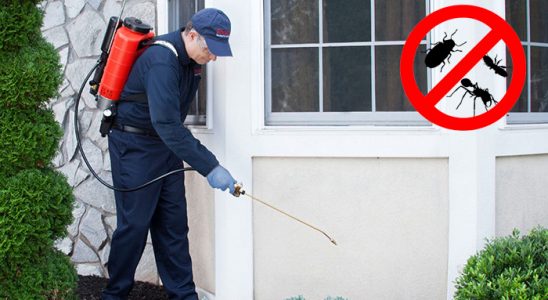 Karabağlar Hamam Böceği İlaçlama böcek ilaçlama ve haşere kontrolü — ilaclama-tr.com